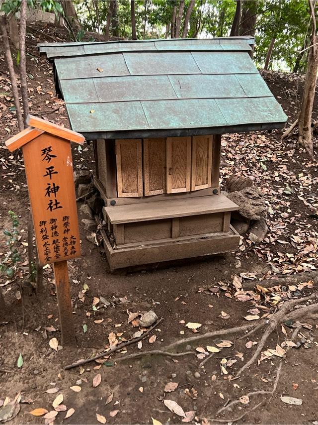 琴平神社(川越氷川神社境内社)の参拝記録1