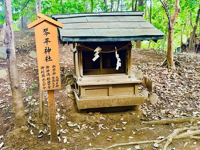 琴平神社(川越氷川神社)の参拝記録(shikigami_hさん)