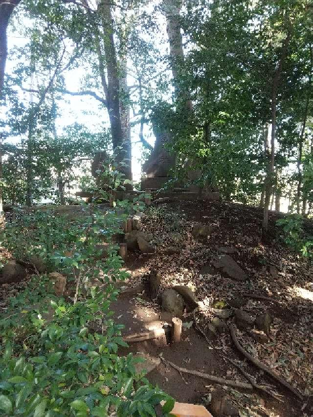 御嶽神社(川越氷川神社境内社)の参拝記録8