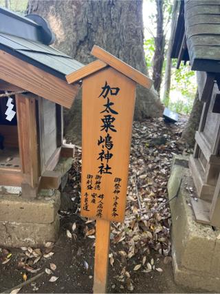 加太栗嶋神社(川越氷川神社境内社)の参拝記録(⛩️🎠🐢まめ🐢🎠⛩️さん)
