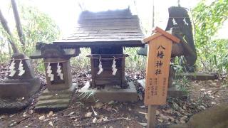 八幡神社(川越氷川神社)の参拝記録(Y.1966.Sさん)