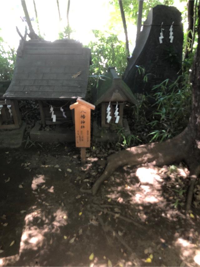 八幡神社(川越氷川神社)の参拝記録(こーちんさん)