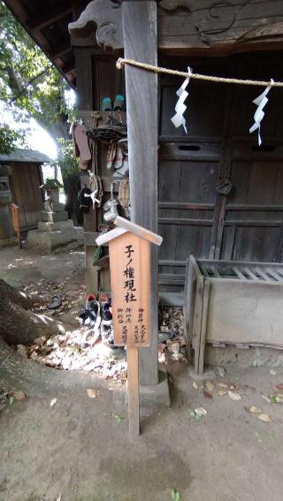 子ノ権現社(川越氷川神社境内社)の参拝記録(Y.1966.Sさん)