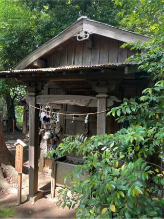 子ノ権現社(川越氷川神社境内社)の参拝記録(⛩️🐍🐢まめ🐢🐍⛩️さん)