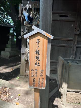 子ノ権現社(川越氷川神社境内社)の参拝記録(⛩️🐍🐢まめ🐢🐍⛩️さん)