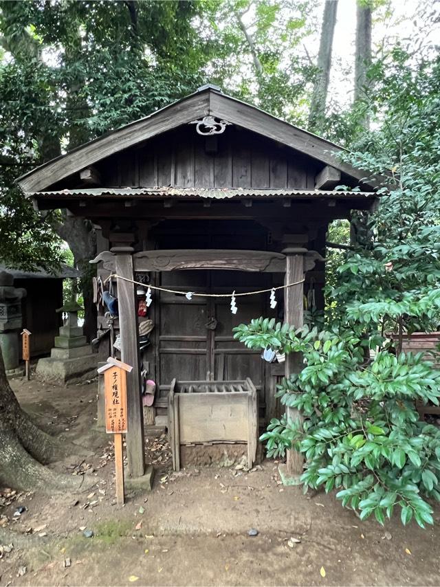 子ノ権現社(川越氷川神社境内社)の参拝記録1