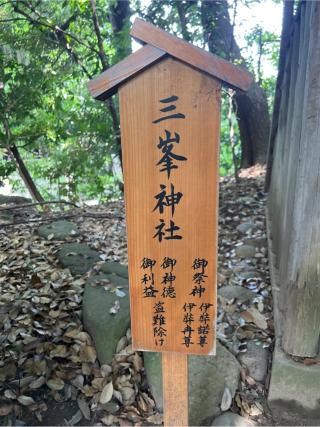 三峯神社(川越氷川神社境内社)の参拝記録(⛩️🐍🐢まめ🐢🐍⛩️さん)