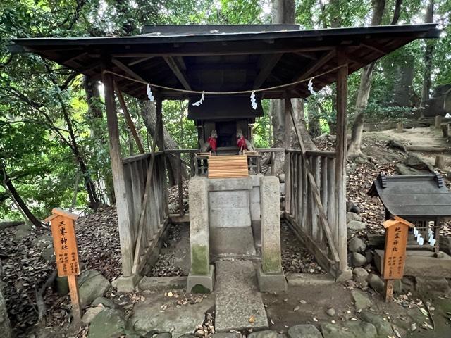 三峯神社(川越氷川神社境内社)の参拝記録1