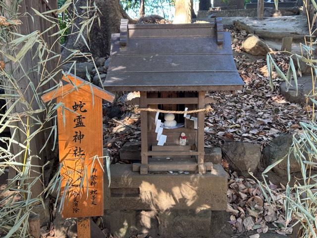 蛇霊神社(川越氷川神社境内社)の参拝記録2