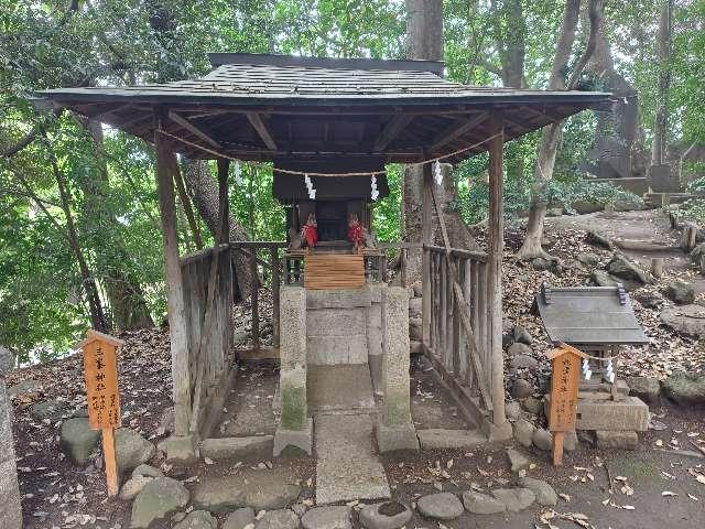 蛇霊神社(川越氷川神社境内社)の参拝記録3