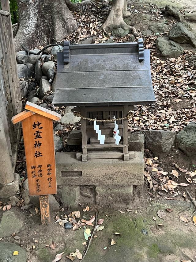 蛇霊神社(川越氷川神社境内社)の参拝記録1