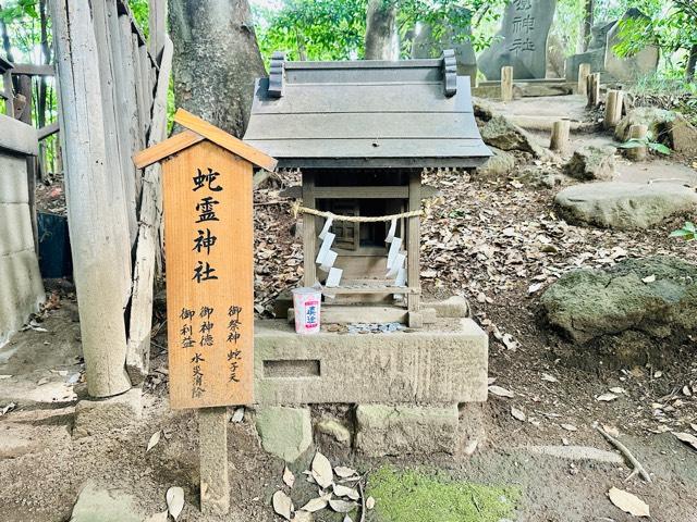 蛇霊神社(川越氷川神社)の参拝記録(shikigami_hさん)