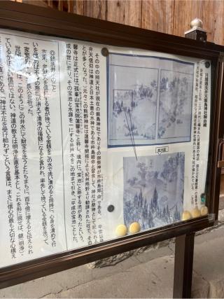 撫で蛇様(川越熊野神社)の参拝記録(⛩️🐍🐢まめ🐢🐍⛩️さん)