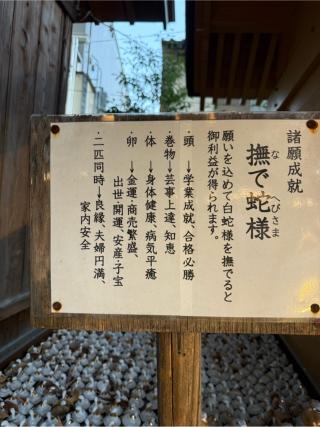 撫で蛇様(川越熊野神社境内)の参拝記録(⛩️🎠🐢まめ🐢🎠⛩️さん)