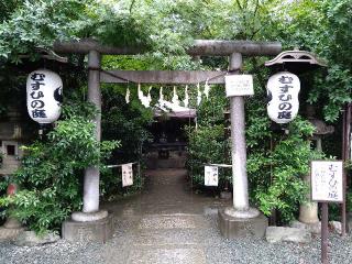むすひの庭(川越熊野神社)の参拝記録(yukiさん)