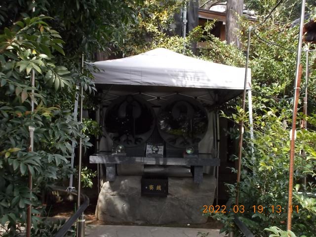 埼玉県川越市連雀町 むすひの庭(川越熊野神社)の写真3