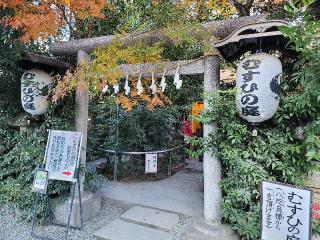 むすひの庭(川越熊野神社)の参拝記録(マーくんさん)