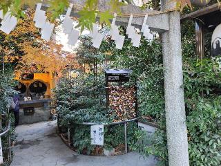 むすひの庭(川越熊野神社)の参拝記録(マーくんさん)