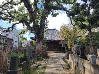 大雄寺の参拝記録(まっきーさん)