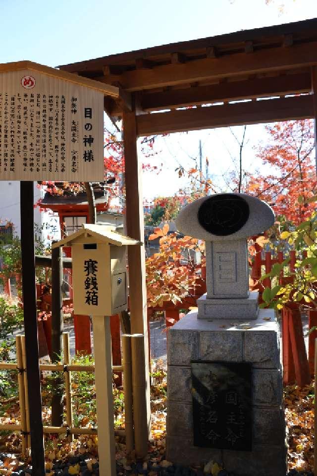 目の神様(川越八幡宮)の参拝記録8