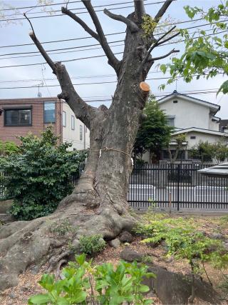 山王社（日枝社）(日野八坂神社境内社)の参拝記録(⛩️🐉🐢まめ🐢🐉⛩️さん)