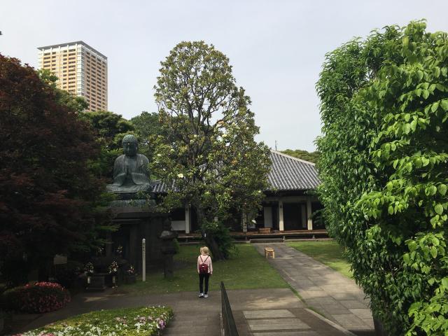 東京都台東区谷中7-14-8 天王寺の写真3