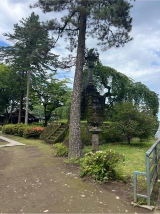 波己曽社（妙義神社）の参拝記録(⛩️🐍🐢まめ🐢🐍⛩️さん)
