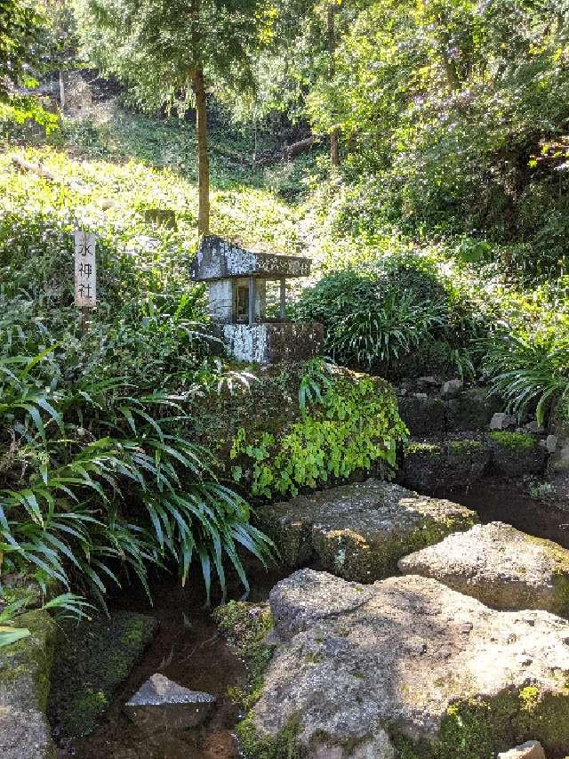 水神社（妙義神社境内社）の参拝記録10