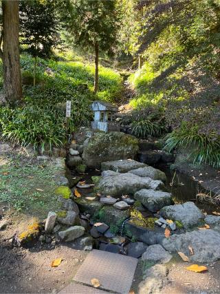 水神社（妙義神社境内社）の参拝記録(okozさん)