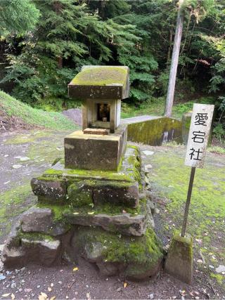 愛宕神社（妙義神社境内社）の参拝記録(⛩️🐍🐢まめ🐢🐍⛩️さん)