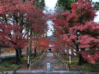 新光明寺の参拝記録(礼さん)