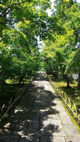 新光明寺の参拝記録(yokoteruさん)