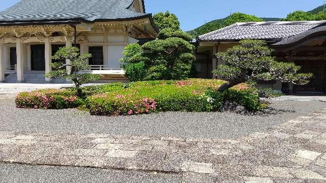 新光明寺の写真1