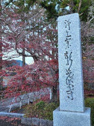 新光明寺の参拝記録(たけちゃん⚾さん)