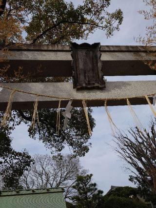 大池神社の参拝記録(かいちゃんさん)