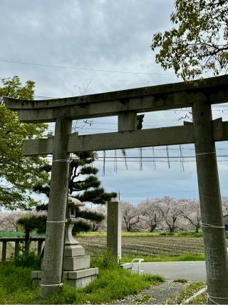 大池神社の参拝記録(さくらさん)