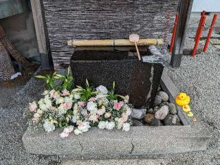 上尾御嶽神社の参拝記録(おがおが1262さん)