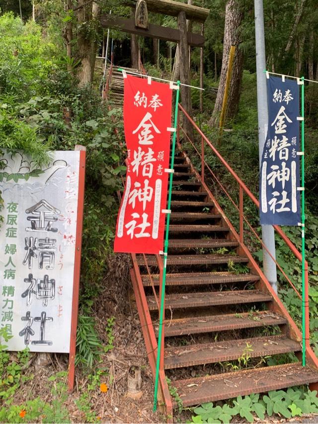 岡山県高梁市成羽町中野2241 金精神社の写真1