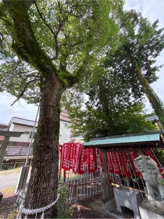 天満宮(松尾神社境内社)の参拝記録(カズさん)