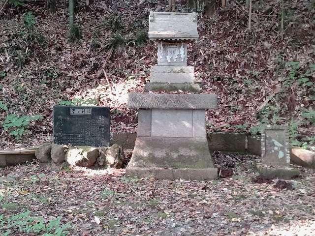 東京都町田市相原4437 子ノ神社の写真1