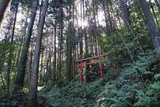 伊奈利神社の参拝記録(thonglor17さん)