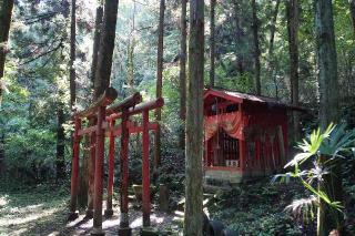 伊奈利神社の参拝記録(thonglor17さん)