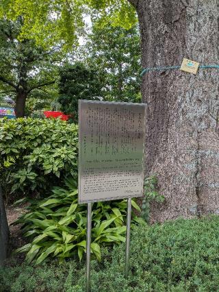 浅草寺 聖観世音菩薩の参拝記録(はくすみさん)