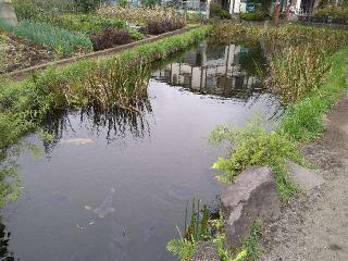 八坂神社(浅間神社末社)の参拝記録(yukiさん)