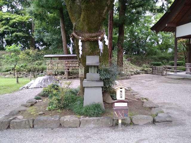 榎天神社(武田神社境内社)の写真1