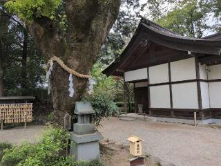 榎天神社（武田神社境内社）の参拝記録(SFUKUさん)