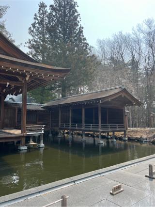 能楽殿(身曾岐神社)の参拝記録(⛩️🎠🐢まめ🐢🎠⛩️さん)