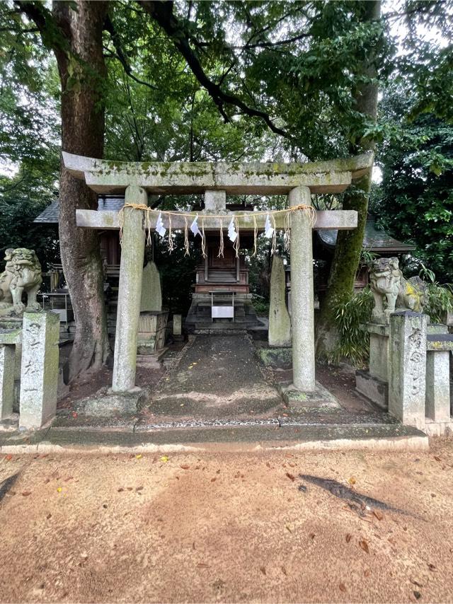 新居神社(一宮神社)の参拝記録(KUMIKOさん)