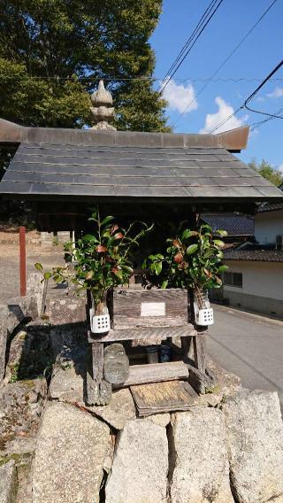 恵美須神社(須佐神社 境内社)の参拝記録(Roseさん)