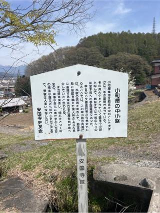 水神(諏訪大社 前宮)の参拝記録(⛩️🐍🐢まめ🐢🐍⛩️さん)